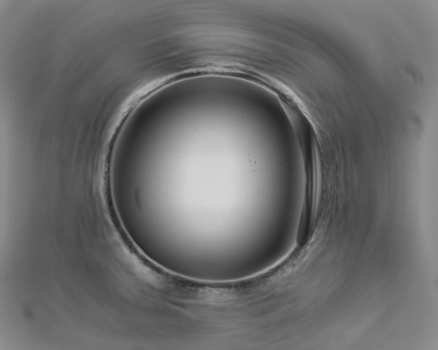 X0000112901379200908211506
