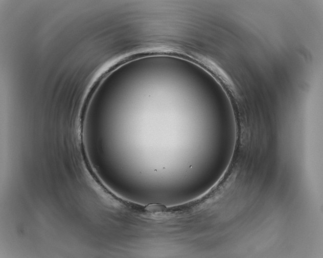 X0000112901380200908211506
