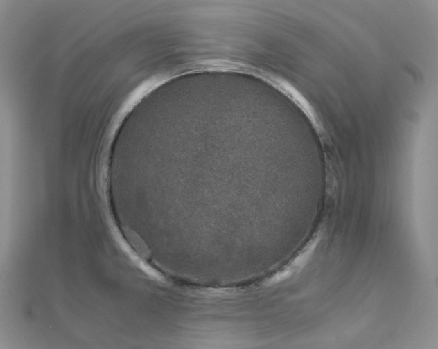 X0000112901381200908211506