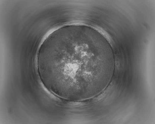 X0000112901382200908211506