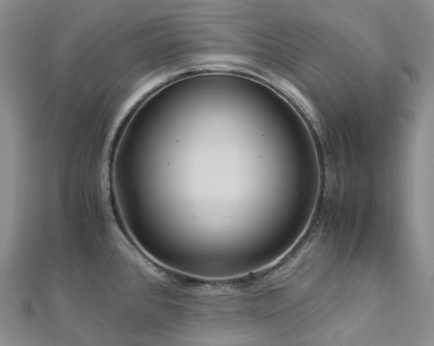 X0000112901384200908211506