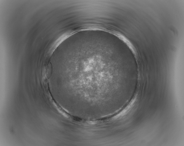 X0000112901385200908211506
