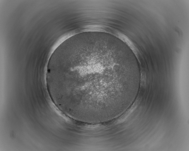 X0000112901386200908211506