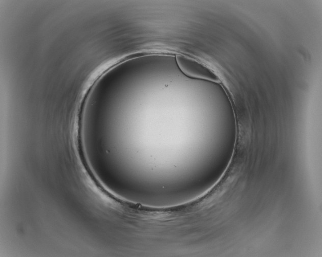 X0000112901387200908211506