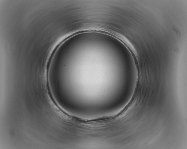 X0000112901388200908211506