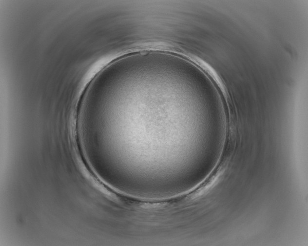 X0000112901389200908211506