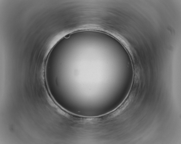X0000112901390200908211506