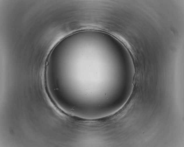 X0000112901391200908211506