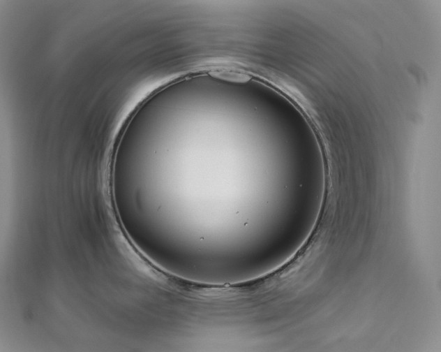 X0000112901392200908211506