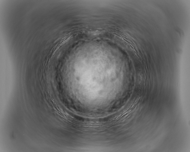 X0000112901393200908211505
