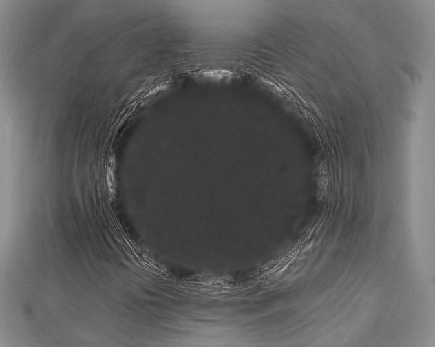 X0000112901394200908211505