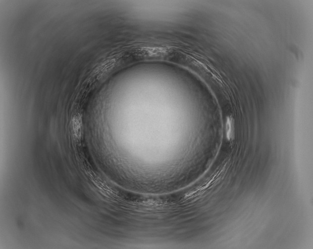 X0000112901395200908211505