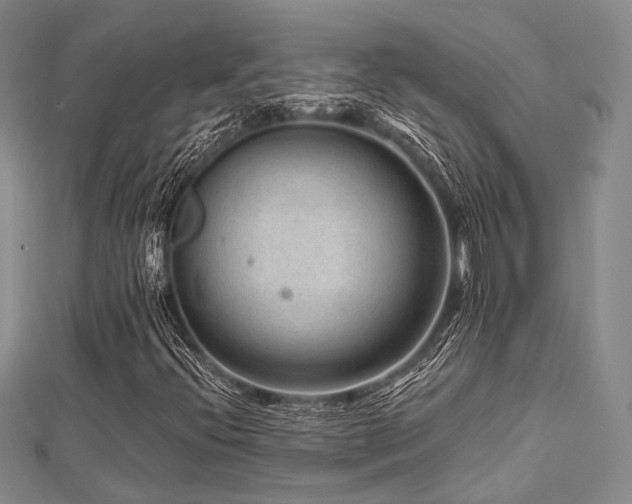X0000112901396200908211505