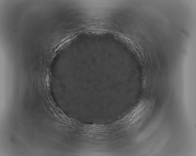 X0000112901397200908211505
