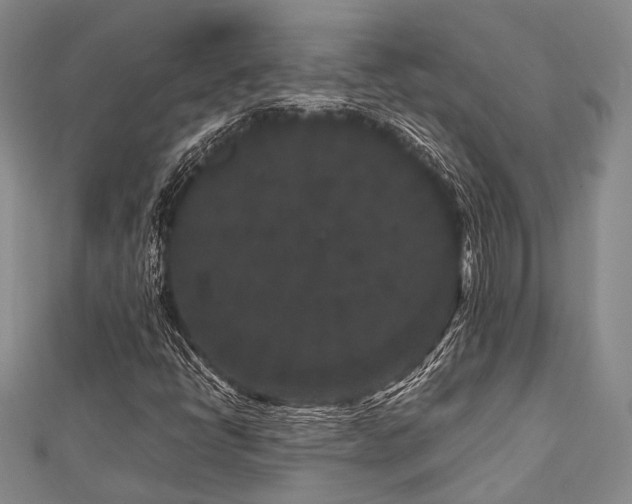 X0000112901398200908211505