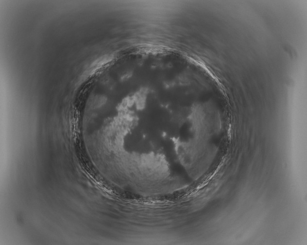 X0000112901399200908211505