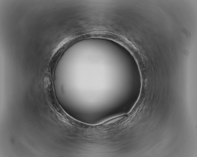 X0000112901400200908211506