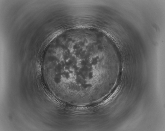 X0000112901401200908211506