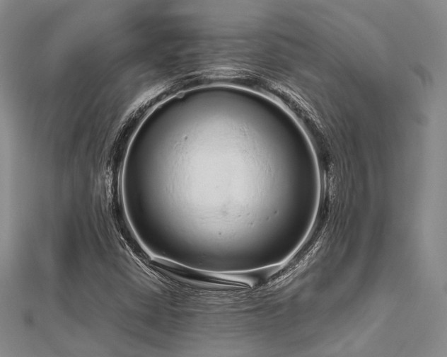 X0000112901402200908211506