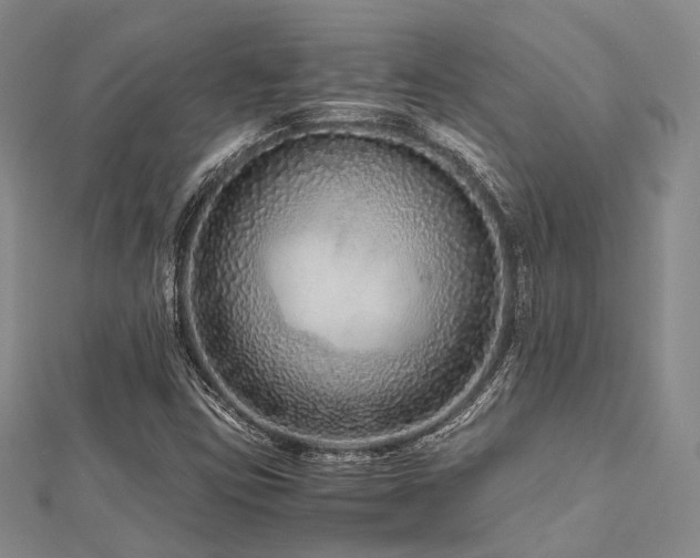 X0000112901403200908211506