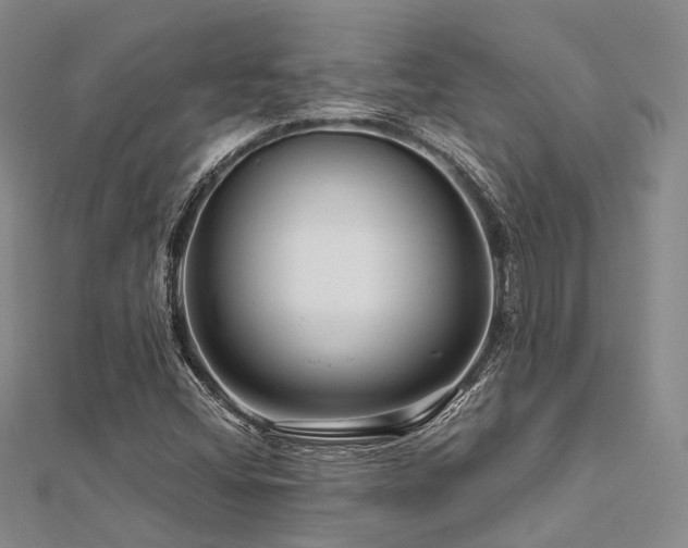 X0000112901404200908211506