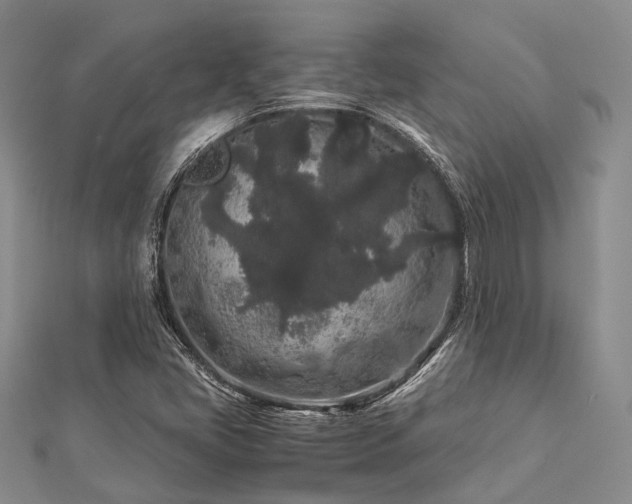 X0000112901405200908211506