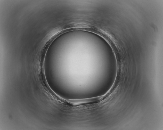 X0000112901407200908211506