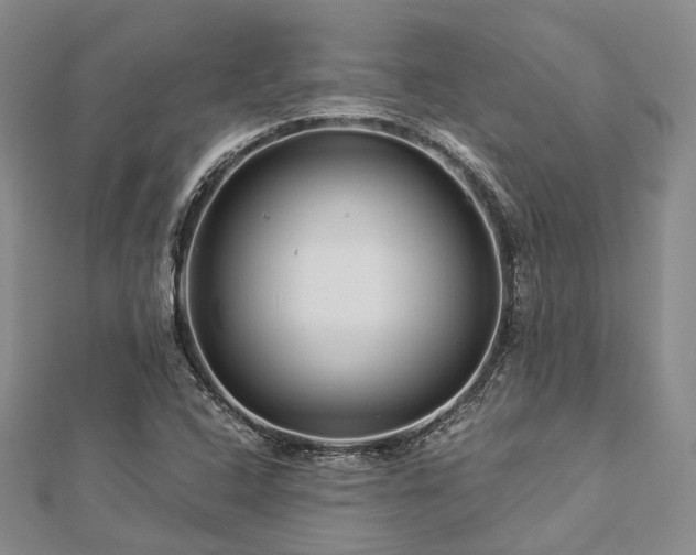 X0000112901408200908211506