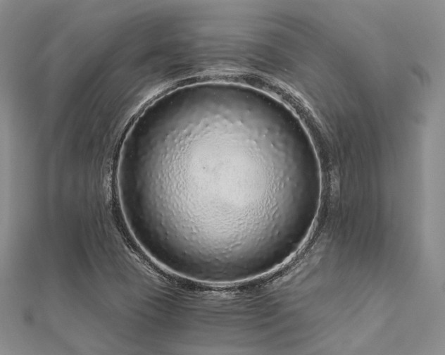 X0000112901409200908211506