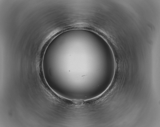 X0000112901410200908211506