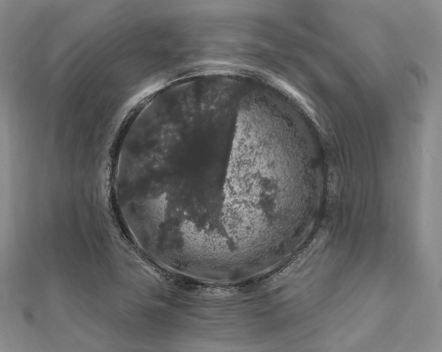 X0000112901411200908211506