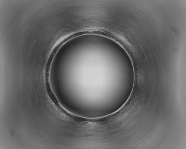 X0000112901412200908211506