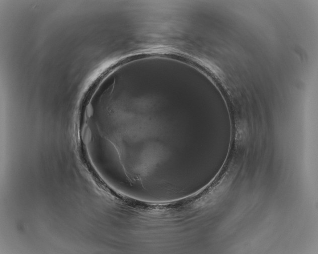 X0000112901414200908211506