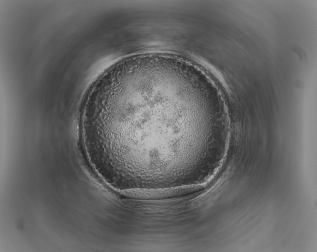 X0000112901415200908211506