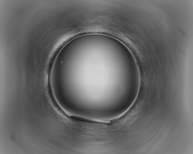 X0000112901416200908211506