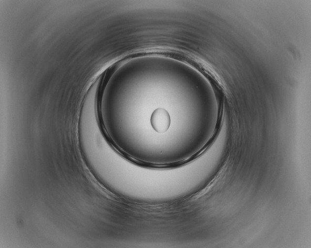 X0000112901417200908211506