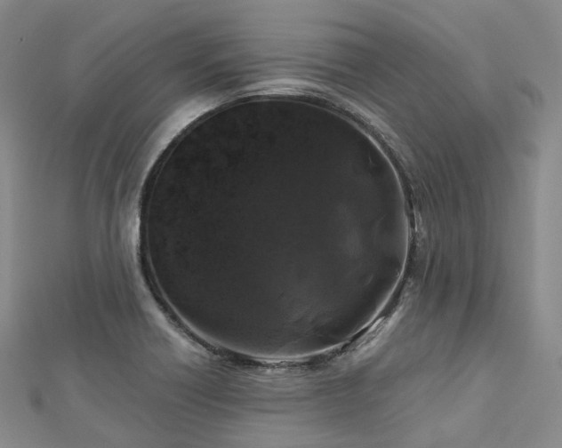 X0000112901418200908211506