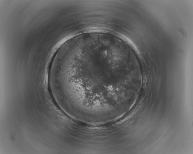 X0000112901419200908211506
