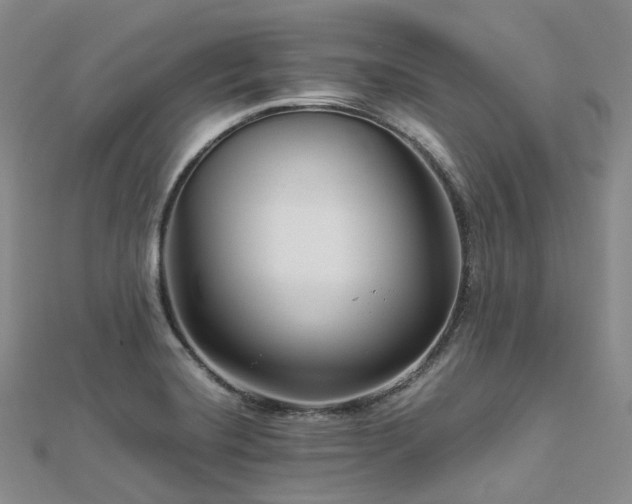 X0000112901420200908211506