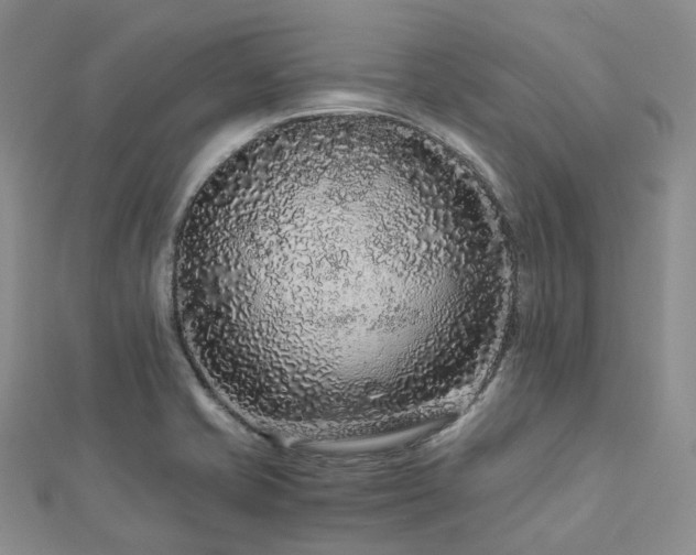 X0000112901421200908211506