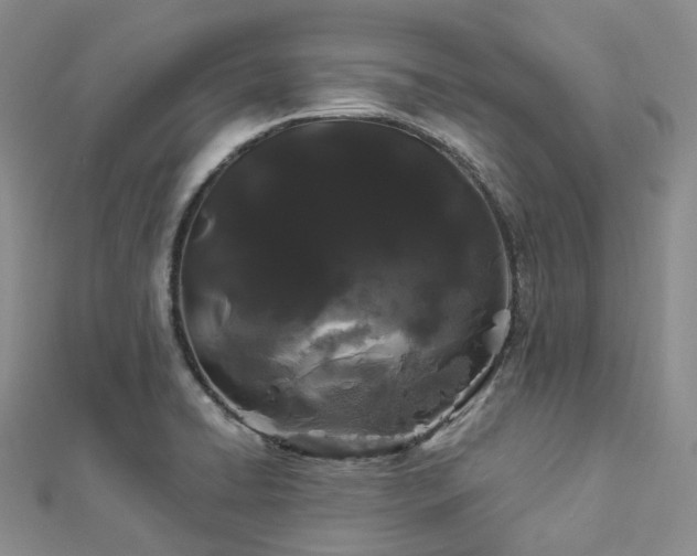 X0000112901422200908211506