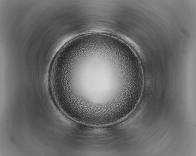 X0000112901423200908211506