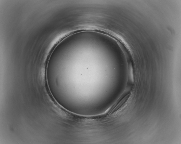 X0000112901424200908211506