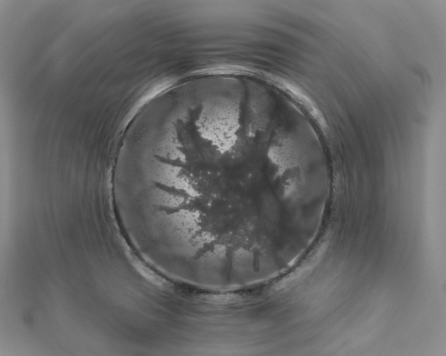 X0000112901425200908211506