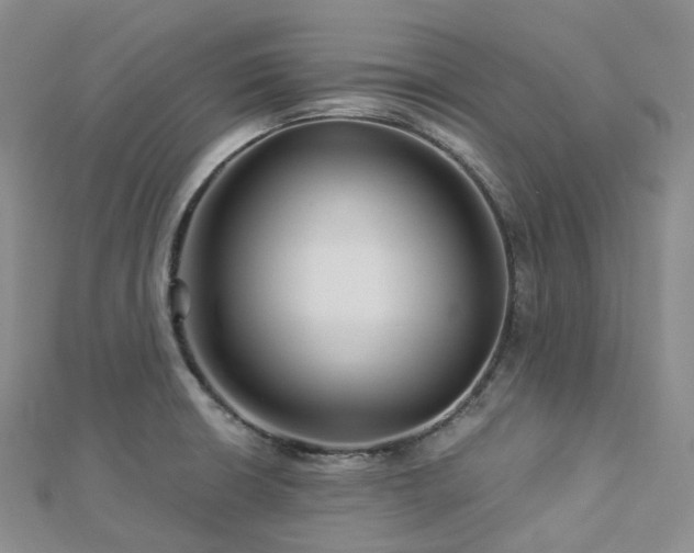 X0000112901426200908211506