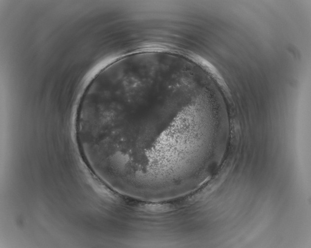 X0000112901427200908211506