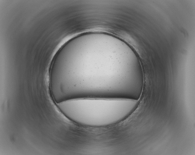 X0000112901428200908211506
