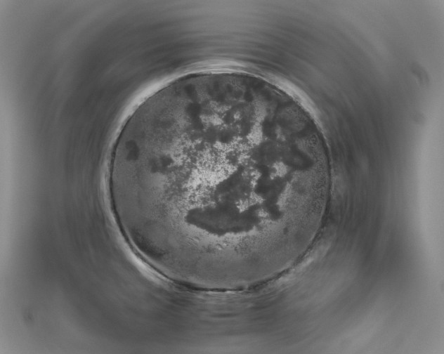 X0000112901429200908211506