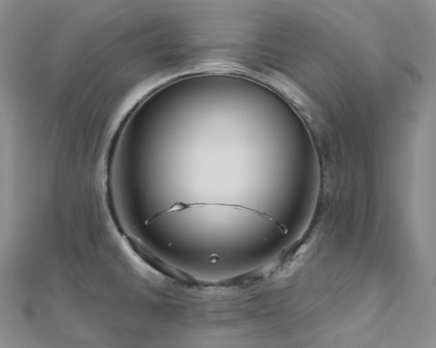 X0000112901430200908211506