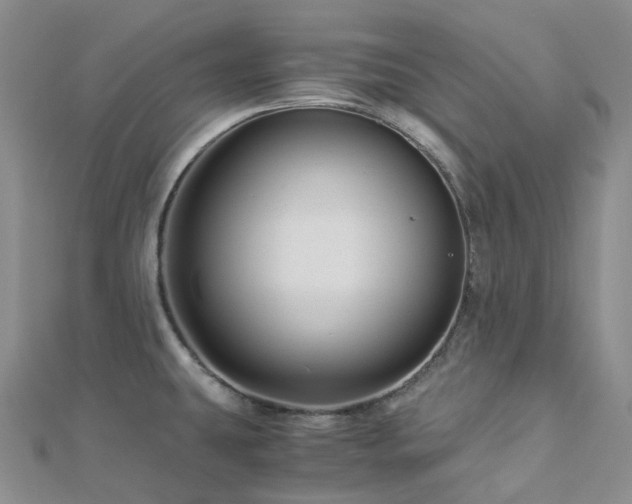 X0000112901431200908211506